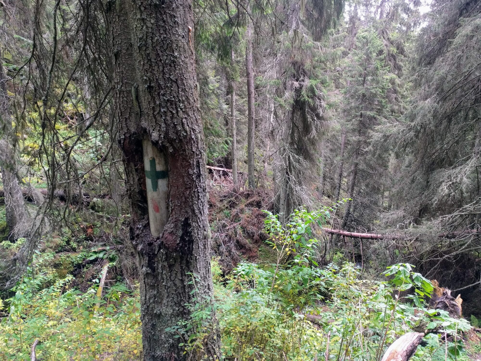 ghost-0ef598c657a34c8f.jpg