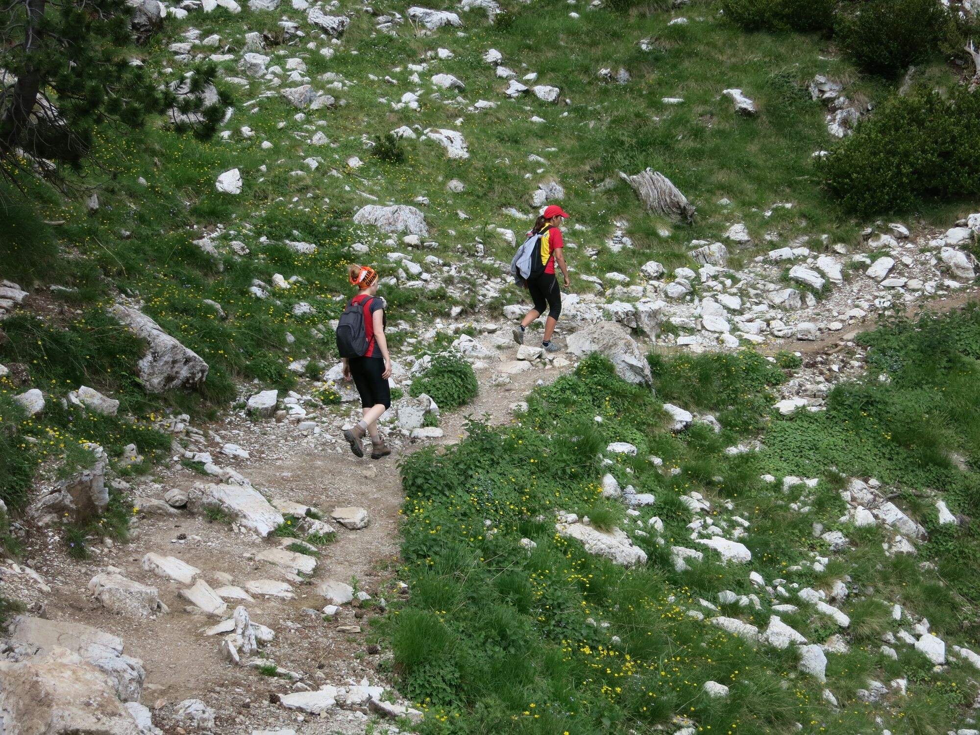 Muntele Olimp