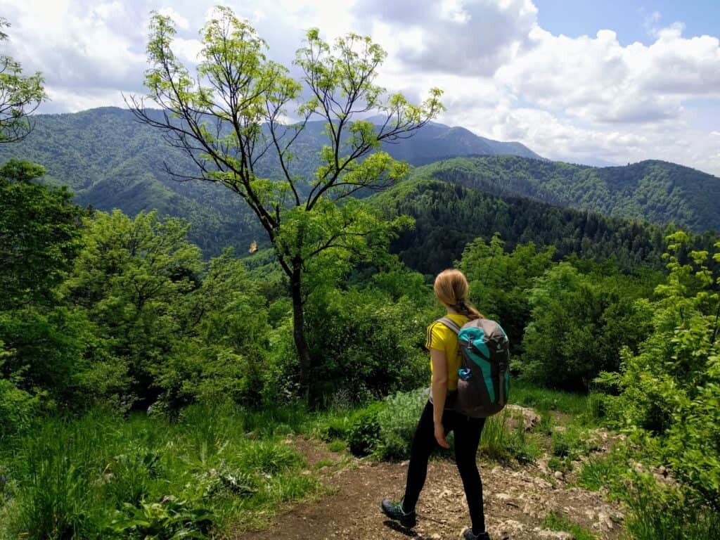 Vedere de pe Tâmpa spre Postăvarul