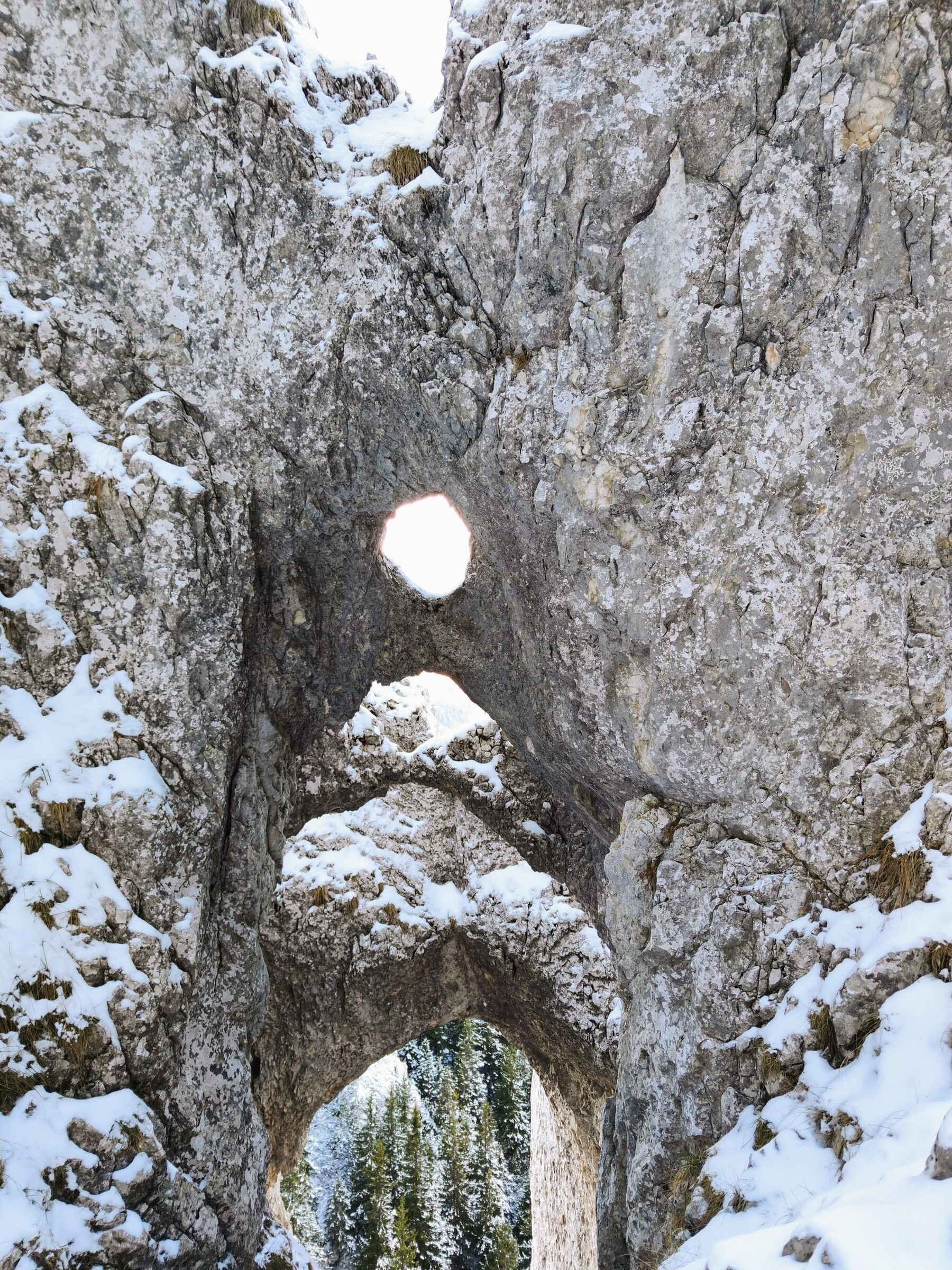 ghost-2f3d96569f725441.jpg