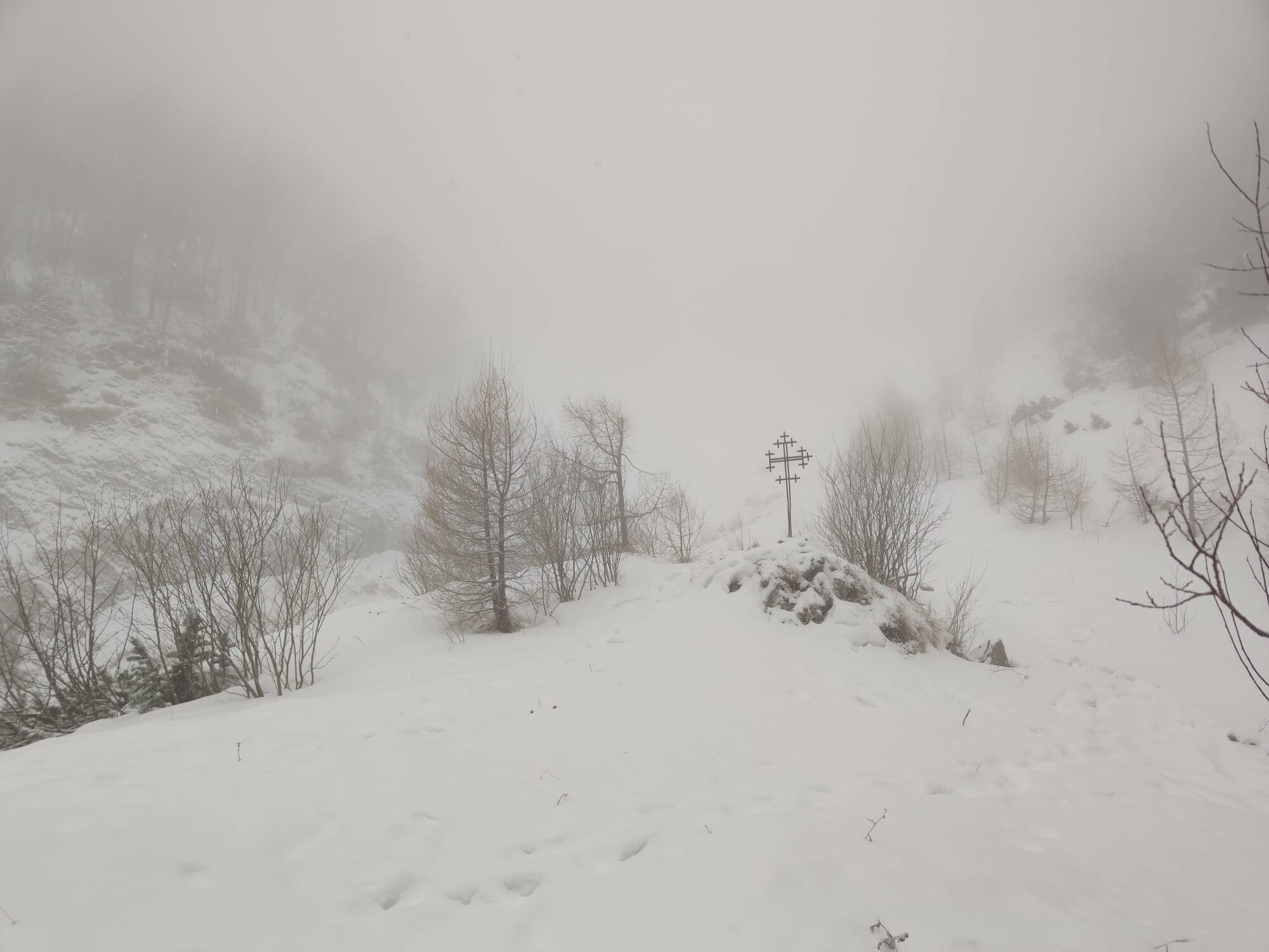 ghost-3f980c2c6a421e3e.jpg