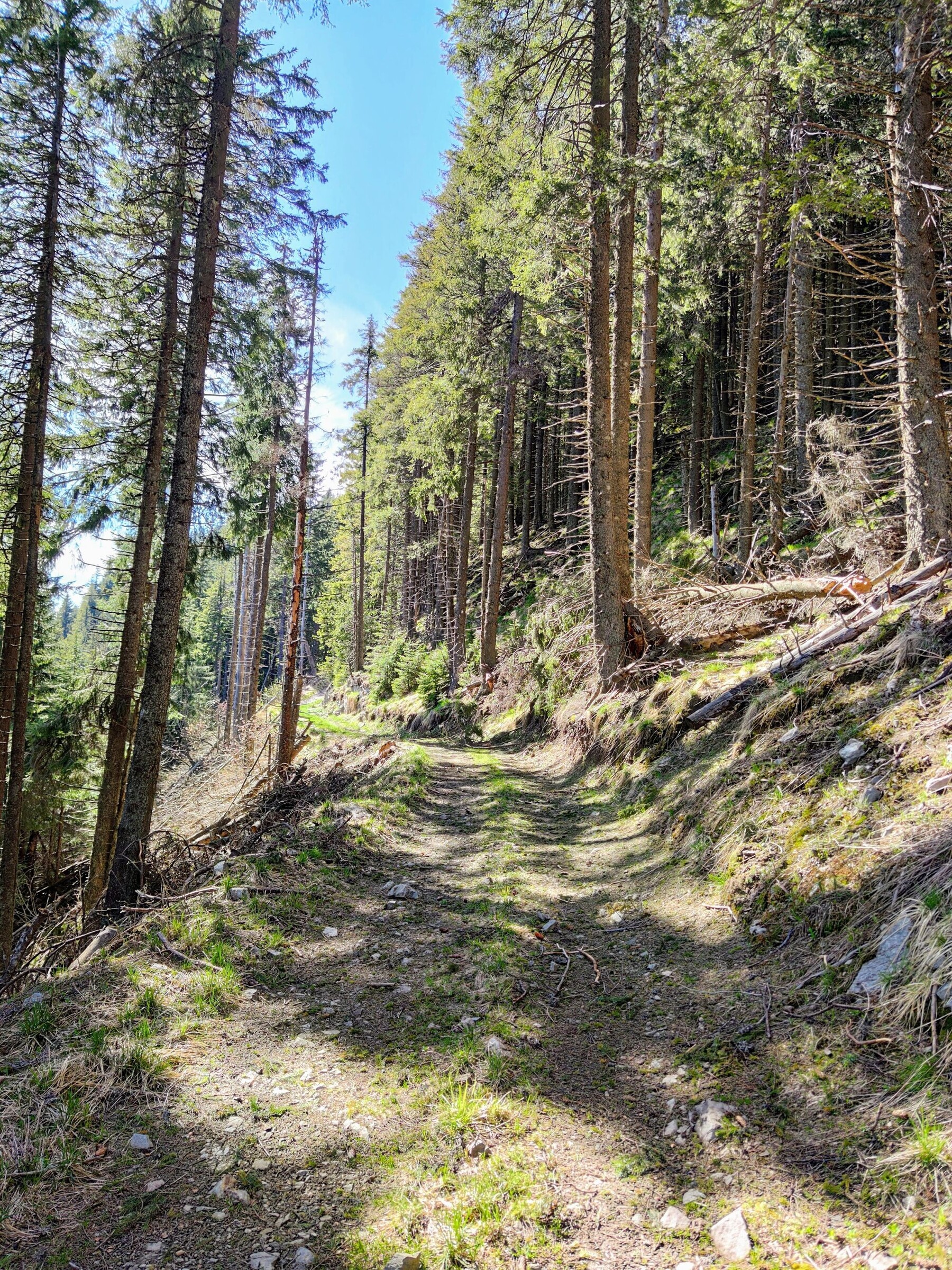 ghost-8466e0a0f2a8afaa.jpg