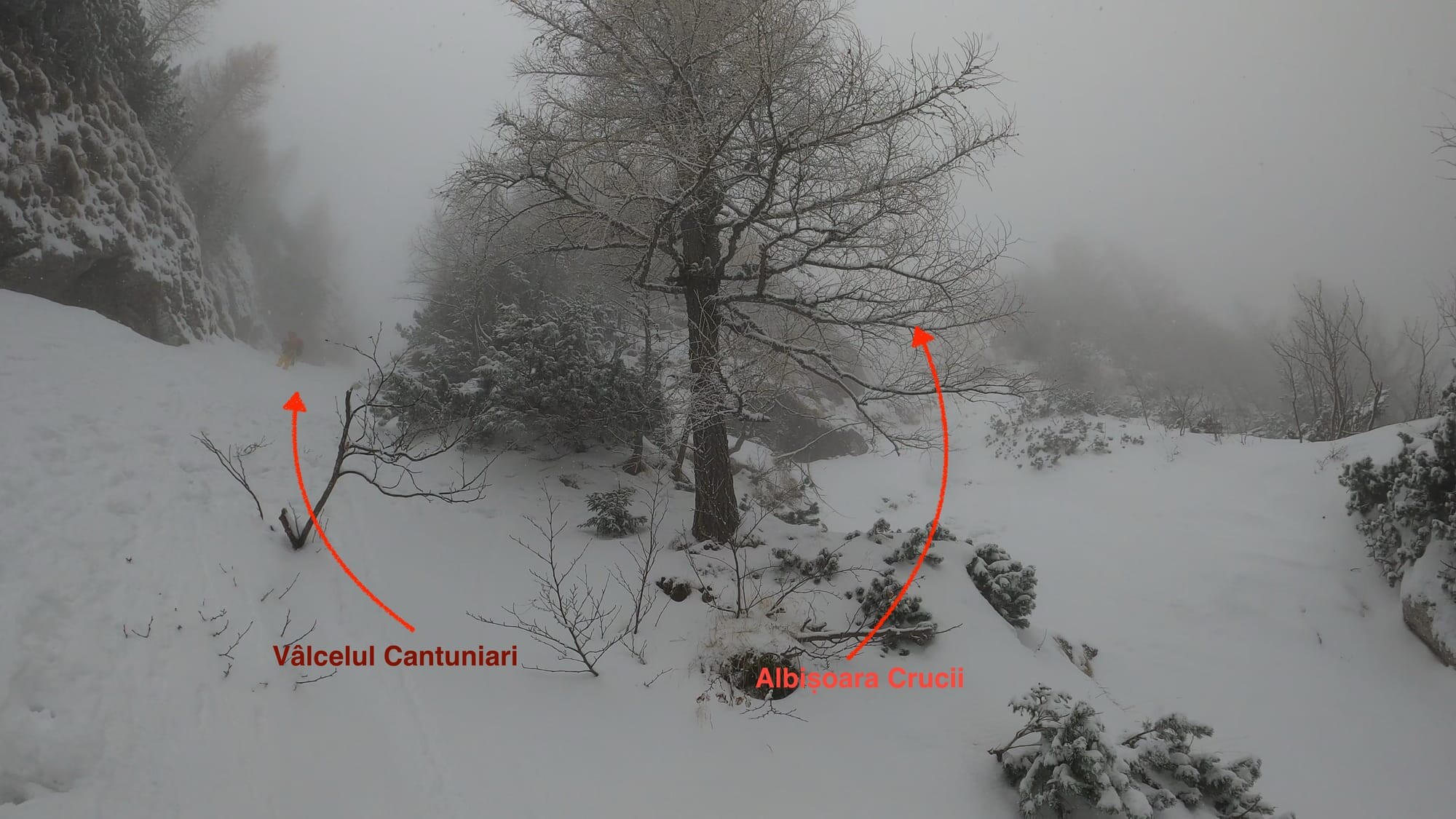 ghost-9f0a08075ed4b8ca.jpeg