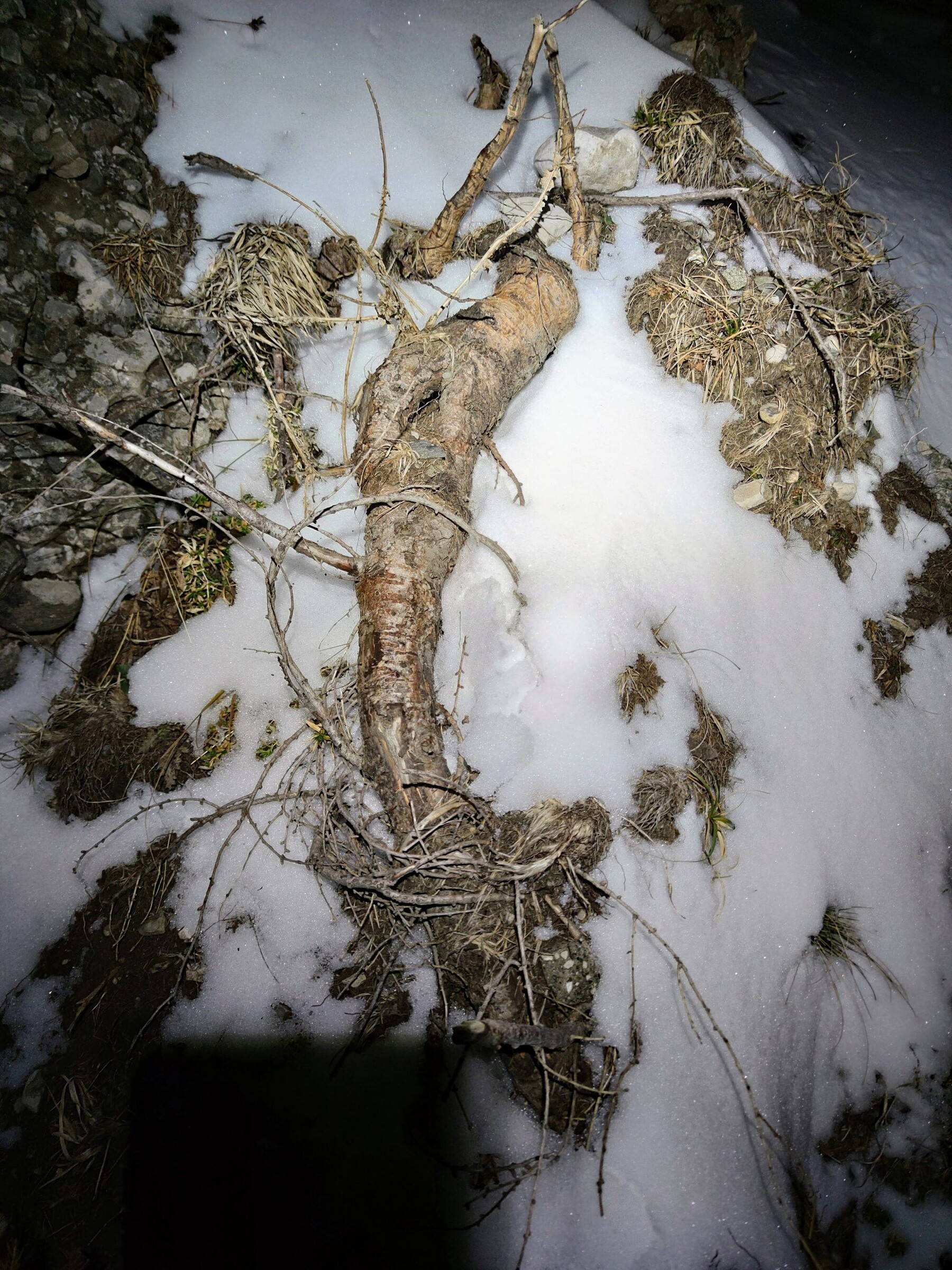 ghost-f9df69924681fb94.jpg